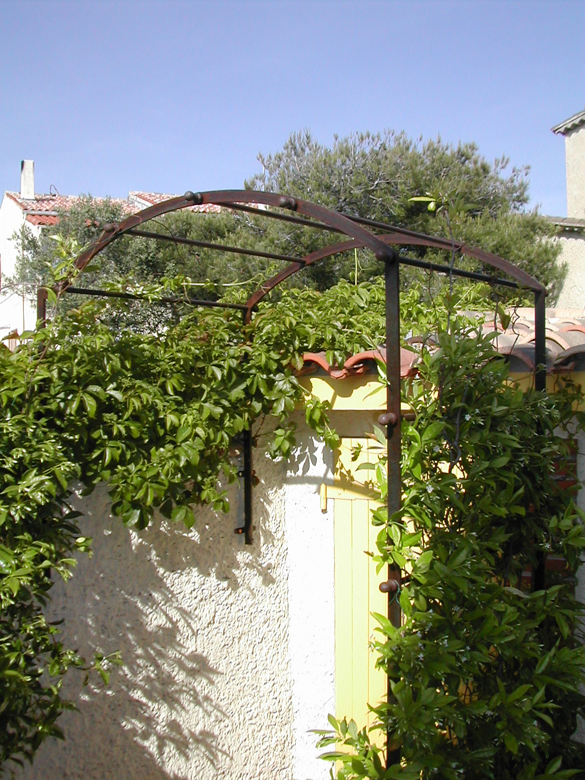 Pergola 6